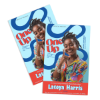 Picture of Custom Flyers