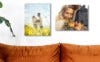 Picture of Metal Prints