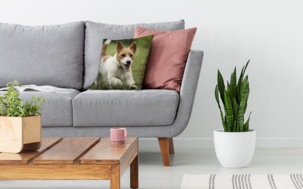 Picture of Photo Pillows